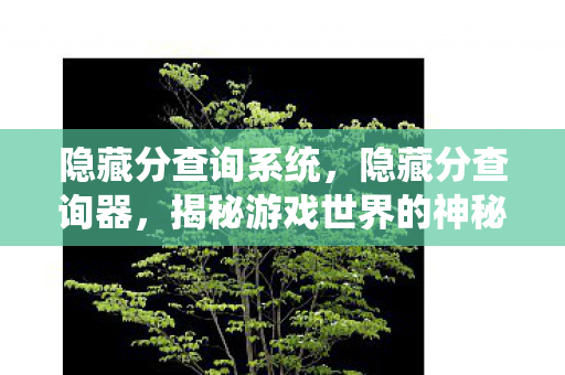 隐藏分查询系统,隐藏分查询器,揭秘游戏世界的神秘评分 隐藏分查询系统,隐藏分查询器,揭秘游戏世界的神秘评分