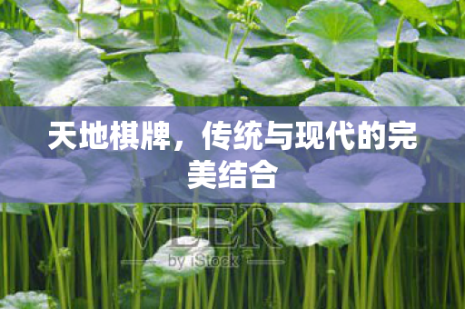 天地棋牌,传统与现代的完美结合 天地棋牌,传统与现代的完美结合