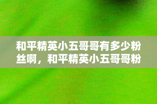 和平精英小五哥哥有多少粉丝啊,和平精英小五哥哥粉丝数量揭秘,影响力与粉丝经济背后的故事 和平精英小五哥哥有多少粉丝啊,和平精英小五哥哥粉丝数量揭秘,影响力与粉丝经济背后的故事