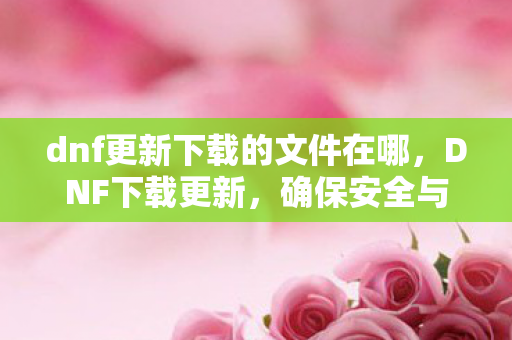 dnf更新下载的文件在哪,DNF下载更新,确保安全与效率,官方渠道是关键 dnf更新下载的文件在哪,DNF下载更新,确保安全与效率,官方渠道是关键
