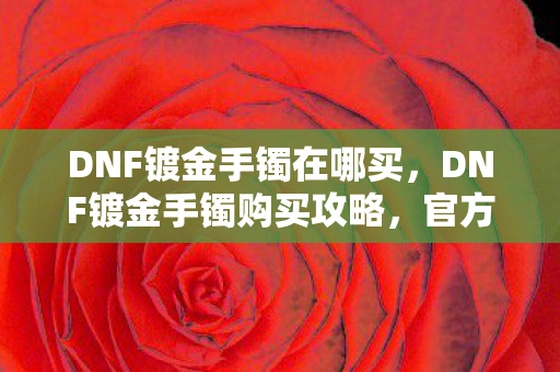 DNF镀金手镯在哪买,DNF镀金手镯购买攻略,官方渠道与性价比分析 DNF镀金手镯在哪买,DNF镀金手镯购买攻略,官方渠道与性价比分析