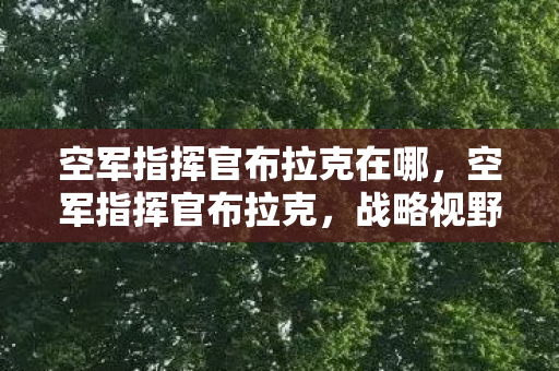 空军指挥官布拉克在哪,空军指挥官布拉克,战略视野下的空战艺术 空军指挥官布拉克在哪,空军指挥官布拉克,战略视野下的空战艺术