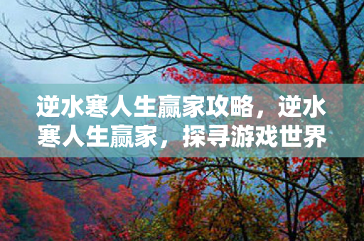 逆水寒人生赢家攻略,逆水寒人生赢家,探寻游戏世界的无限可能 逆水寒人生赢家攻略,逆水寒人生赢家,探寻游戏世界的无限可能