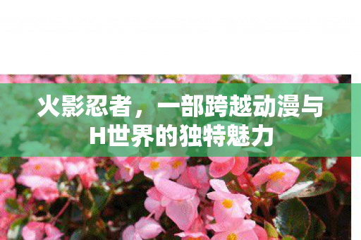 火影忍者,一部跨越动漫与H世界的独特魅力 火影忍者,一部跨越动漫与H世界的独特魅力