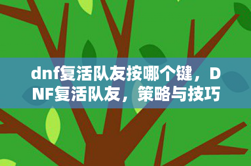 dnf复活队友按哪个键，DNF复活队友，策略与技巧的深度解析