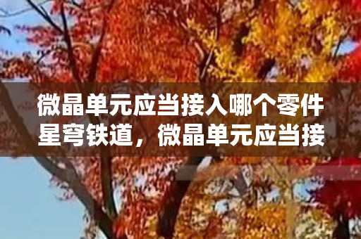 微晶单元应当接入哪个零件星穹铁道,微晶单元应当接入的零件,高效散热系统 微晶单元应当接入哪个零件星穹铁道,微晶单元应当接入的零件,高效散热系统