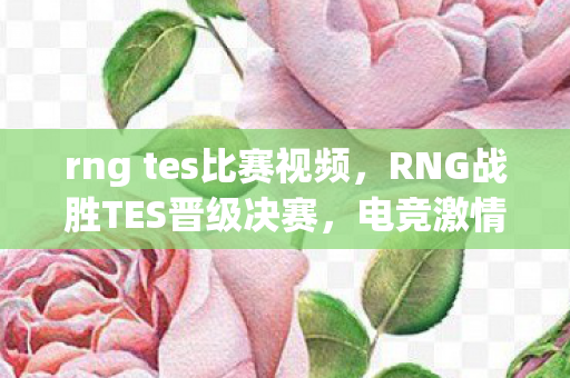 RNG战胜TES晋级决赛图片