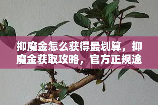 抑魔金怎么获得最划算,抑魔金获取攻略,官方正规途径全解析 抑魔金怎么获得最划算,抑魔金获取攻略,官方正规途径全解析