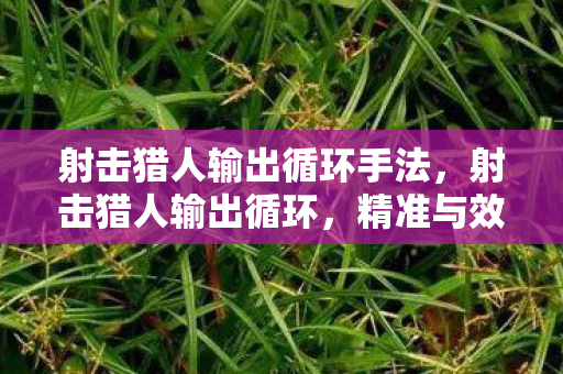 射击猎人输出循环手法,射击猎人输出循环,精准与效率的完美平衡 射击猎人输出循环手法,射击猎人输出循环,精准与效率的完美平衡