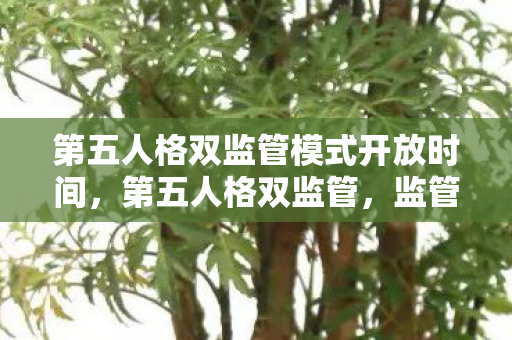 第五人格双监管模式开放时间,第五人格双监管,监管与博弈的平衡艺术 第五人格双监管模式开放时间,第五人格双监管,监管与博弈的平衡艺术
