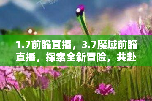 1.7前瞻直播,3.7魔域前瞻直播,探索全新冒险,共赴雷鸣大陆之旅 1.7前瞻直播,3.7魔域前瞻直播,探索全新冒险,共赴雷鸣大陆之旅