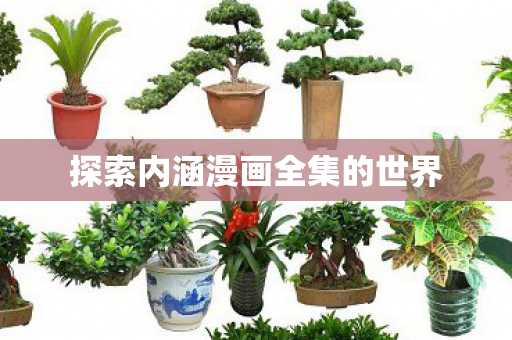 探索内涵漫画全集的世界 探索内涵漫画全集的世界