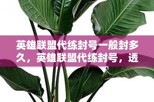 英雄联盟代练封号一般封多久,英雄联盟代练封号,透视背后的灰色产业链 英雄联盟代练封号一般封多久,英雄联盟代练封号,透视背后的灰色产业链