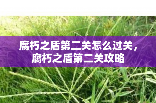 腐朽之盾第二关怎么过关,腐朽之盾第二关攻略 腐朽之盾第二关怎么过关,腐朽之盾第二关攻略