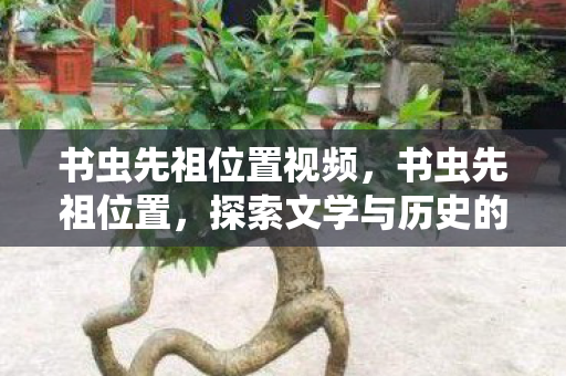 书虫先祖位置视频,书虫先祖位置,探索文学与历史的隐秘角落 书虫先祖位置视频,书虫先祖位置,探索文学与历史的隐秘角落
