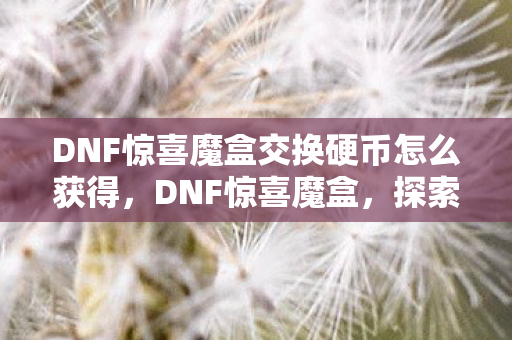 DNF惊喜魔盒交换硬币怎么获得,DNF惊喜魔盒,探索未知,挑战极限的冒险之旅 DNF惊喜魔盒交换硬币怎么获得,DNF惊喜魔盒,探索未知,挑战极限的冒险之旅