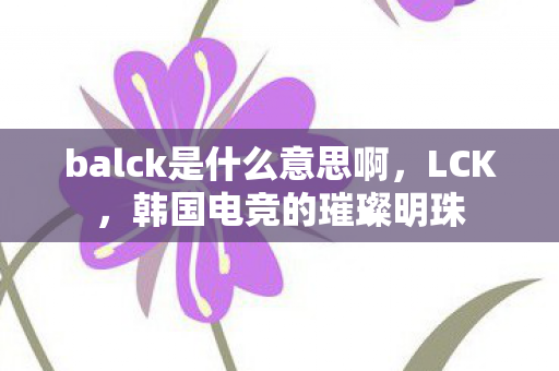balck是什么意思啊,LCK,韩国电竞的璀璨明珠 balck是什么意思啊,LCK,韩国电竞的璀璨明珠