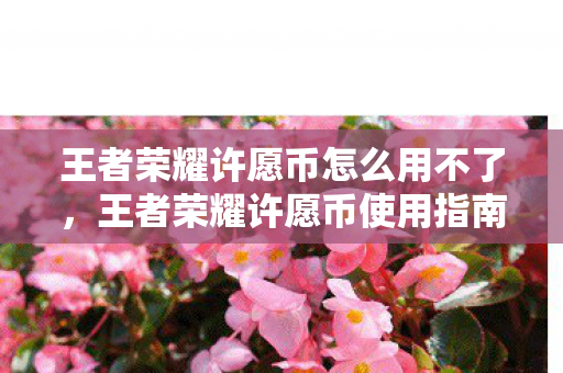 王者荣耀许愿币怎么用不了，王者荣耀许愿币使用指南，解锁稀有皮肤与道具的秘籍