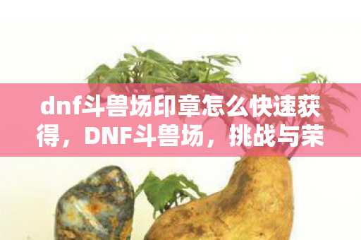 dnf斗兽场印章怎么快速获得,DNF斗兽场,挑战与荣耀的竞技场 dnf斗兽场印章怎么快速获得,DNF斗兽场,挑战与荣耀的竞技场