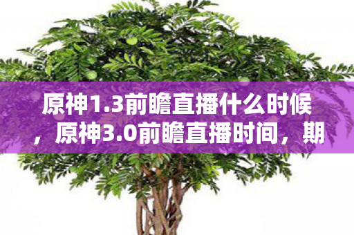 原神1.3前瞻直播什么时候,原神3.0前瞻直播时间,期待与惊喜的交汇点 原神1.3前瞻直播什么时候,原神3.0前瞻直播时间,期待与惊喜的交汇点