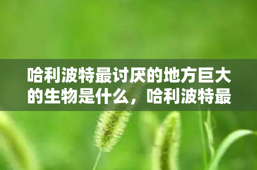 哈利波特最讨厌的地方巨大的生物是什么,哈利波特最讨厌的地方,巨大生物的阴影 哈利波特最讨厌的地方巨大的生物是什么,哈利波特最讨厌的地方,巨大生物的阴影