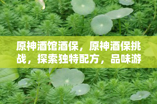 品味游戏世界的韵味图片