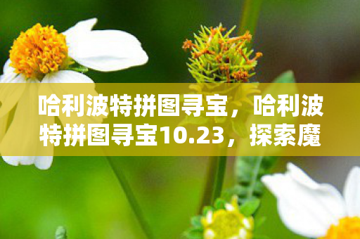 哈利波特拼图寻宝10图片