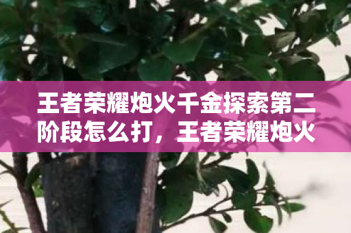 王者荣耀炮火千金探索第二阶段怎么打,王者荣耀炮火千金探索第二阶段,深度解析与策略指南 王者荣耀炮火千金探索第二阶段怎么打,王者荣耀炮火千金探索第二阶段,深度解析与策略指南