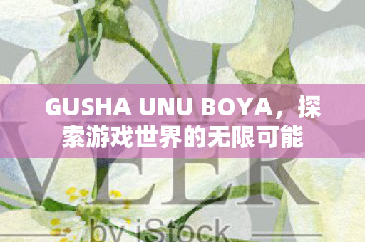 GUSHA UNU BOYA，探索游戏世界的无限可能
