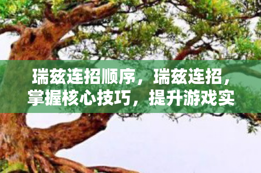 瑞兹连招顺序，瑞兹连招，掌握核心技巧，提升游戏实力