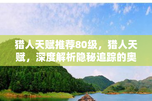 猎人天赋推荐80级，猎人天赋，深度解析隐秘追踪的奥秘