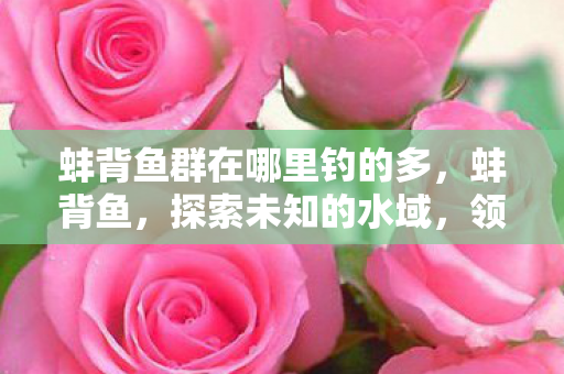 蚌背鱼群在哪里钓的多,蚌背鱼,探索未知的水域,领略自然之美 蚌背鱼群在哪里钓的多,蚌背鱼,探索未知的水域,领略自然之美