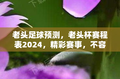 老头足球预测,老头杯赛程表2024,精彩赛事,不容错过! 老头足球预测,老头杯赛程表2024,精彩赛事,不容错过!