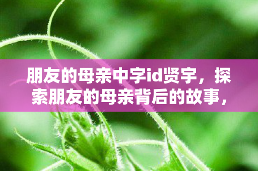 朋友的母亲中字id贤宇，探索朋友的母亲背后的故事，一段温暖的数字记忆