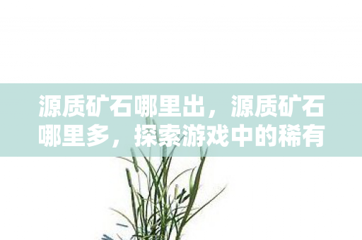 源质矿石哪里出,源质矿石哪里多,探索游戏中的稀有资源分布 源质矿石哪里出,源质矿石哪里多,探索游戏中的稀有资源分布