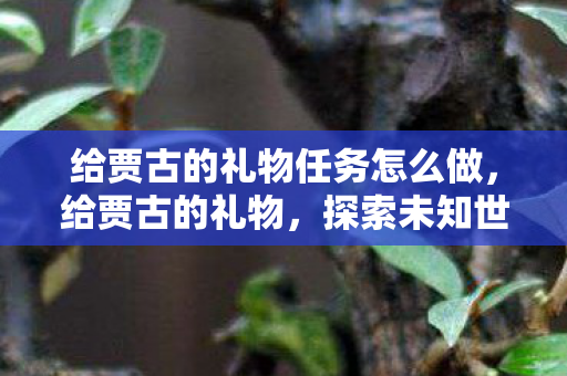 给贾古的礼物任务怎么做,给贾古的礼物,探索未知世界的奇妙之旅 给贾古的礼物任务怎么做,给贾古的礼物,探索未知世界的奇妙之旅