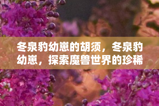 冬泉豹幼崽的胡须,冬泉豹幼崽,探索魔兽世界的珍稀宠物 冬泉豹幼崽的胡须,冬泉豹幼崽,探索魔兽世界的珍稀宠物