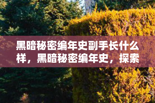 黑暗秘密编年史副手长什么样,黑暗秘密编年史,探索游戏产业背后的灰色阴影 黑暗秘密编年史副手长什么样,黑暗秘密编年史,探索游戏产业背后的灰色阴影