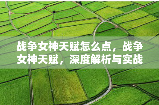 战争女神天赋怎么点,战争女神天赋,深度解析与实战应用 战争女神天赋怎么点,战争女神天赋,深度解析与实战应用
