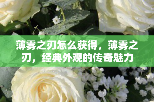 薄雾之刃怎么获得,薄雾之刃,经典外观的传奇魅力 薄雾之刃怎么获得,薄雾之刃,经典外观的传奇魅力