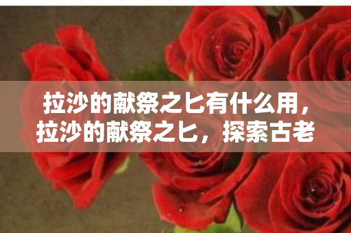 拉沙的献祭之匕有什么用，拉沙的献祭之匕，探索古老传说中的神秘武器