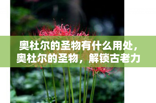 奥杜尔的圣物有什么用处图片