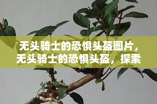 无头骑士的恐惧头盔图片图片