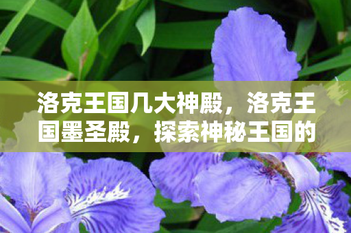 洛克王国几大神殿,洛克王国墨圣殿,探索神秘王国的奇幻之旅 洛克王国几大神殿,洛克王国墨圣殿,探索神秘王国的奇幻之旅