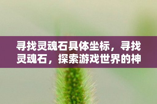 寻找灵魂石具体坐标,寻找灵魂石,探索游戏世界的神秘宝藏 寻找灵魂石具体坐标,寻找灵魂石,探索游戏世界的神秘宝藏