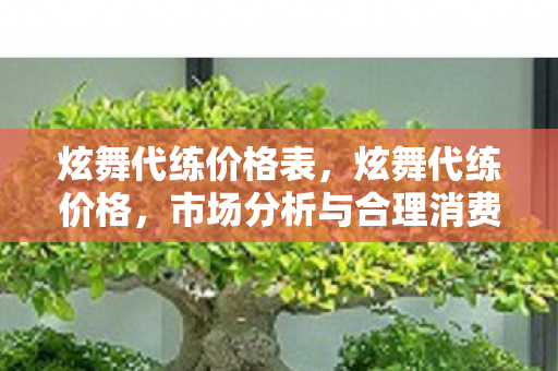 炫舞代练价格表,炫舞代练价格,市场分析与合理消费指南 炫舞代练价格表,炫舞代练价格,市场分析与合理消费指南