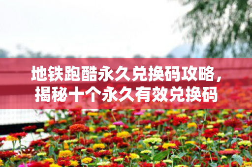 地铁跑酷永久兑换码攻略,揭秘十个永久有效兑换码 地铁跑酷永久兑换码攻略,揭秘十个永久有效兑换码