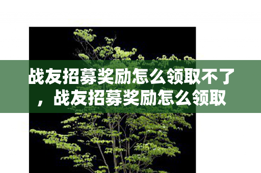 战友招募奖励怎么领取不了，战友招募奖励怎么领取
