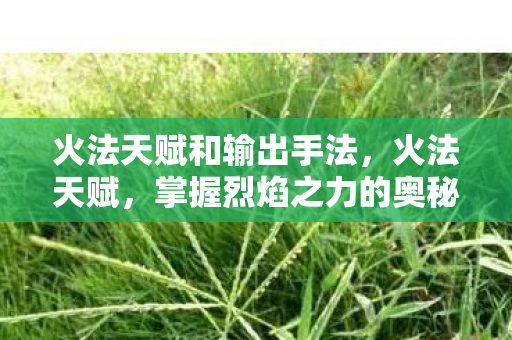 火法天赋和输出手法,火法天赋,掌握烈焰之力的奥秘 火法天赋和输出手法,火法天赋,掌握烈焰之力的奥秘