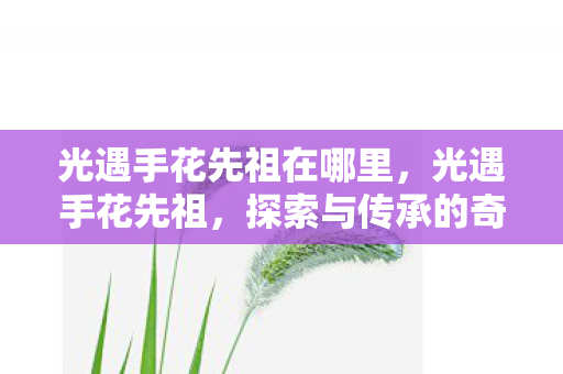 探索与传承的奇妙之旅图片